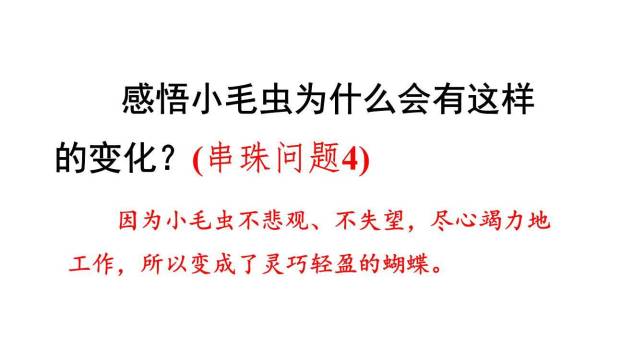 小毛虫PPT课件73