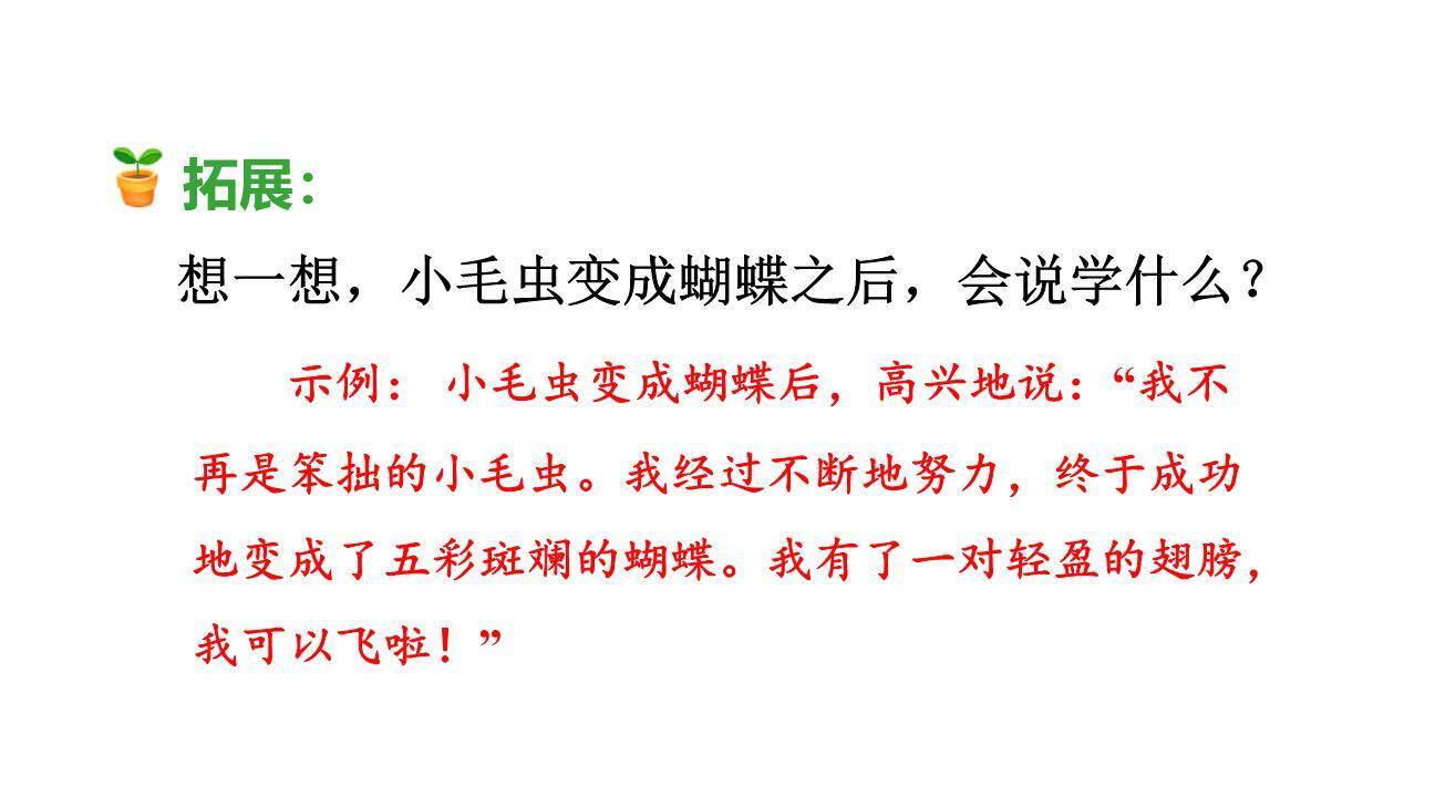 小毛虫PPT课件74