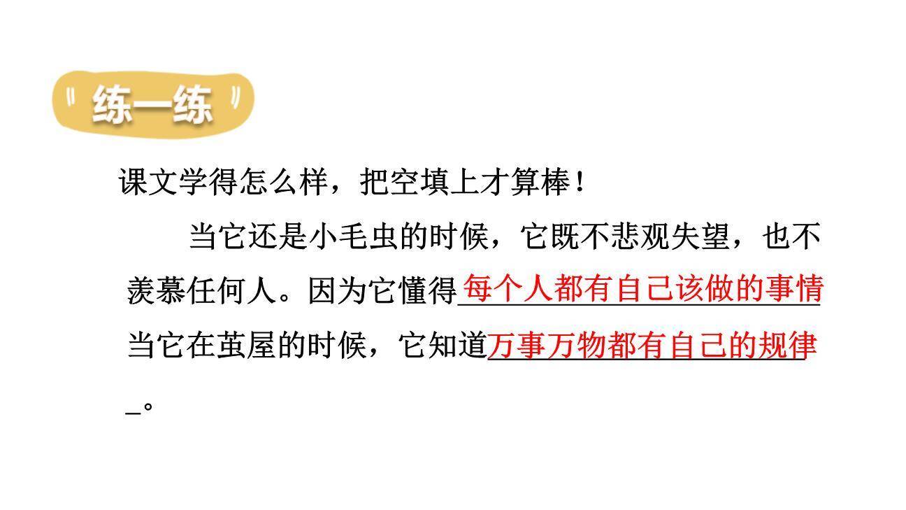 小毛虫PPT课件75