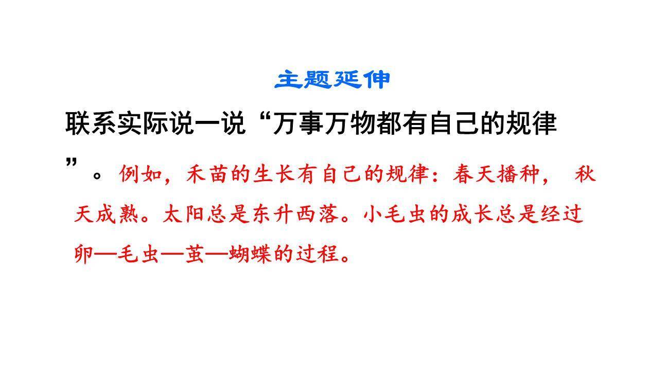 小毛虫PPT课件76