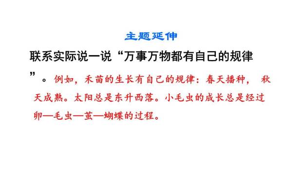 小毛虫PPT课件76