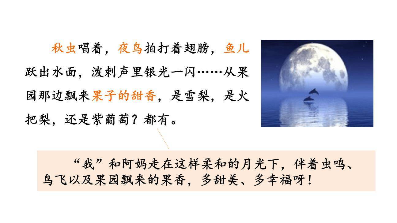 走月亮PPT课件64