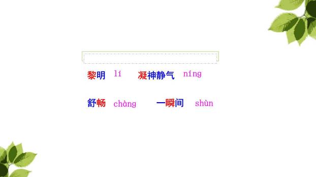 父亲树林和鸟PPT课件58