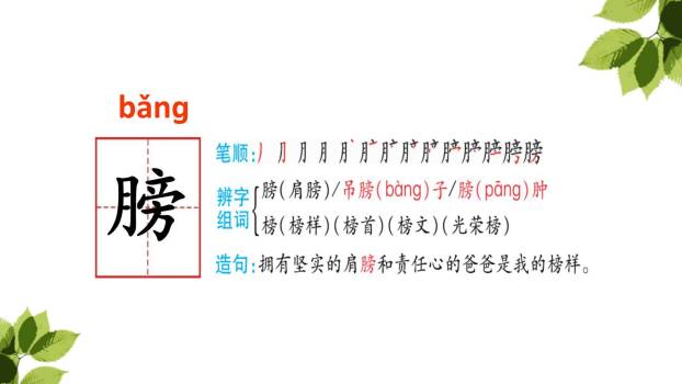 父亲树林和鸟PPT课件55