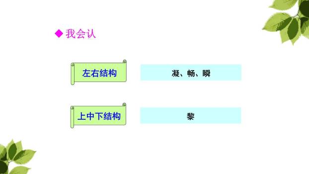 父亲树林和鸟PPT课件57