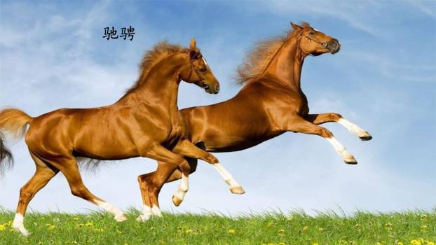 京剧趣谈PPT课件58