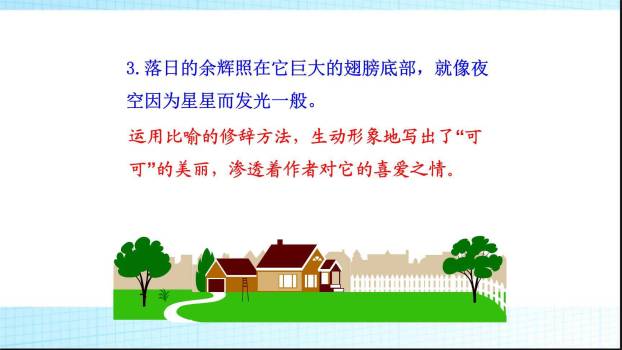 动物笑谈PPT课件65