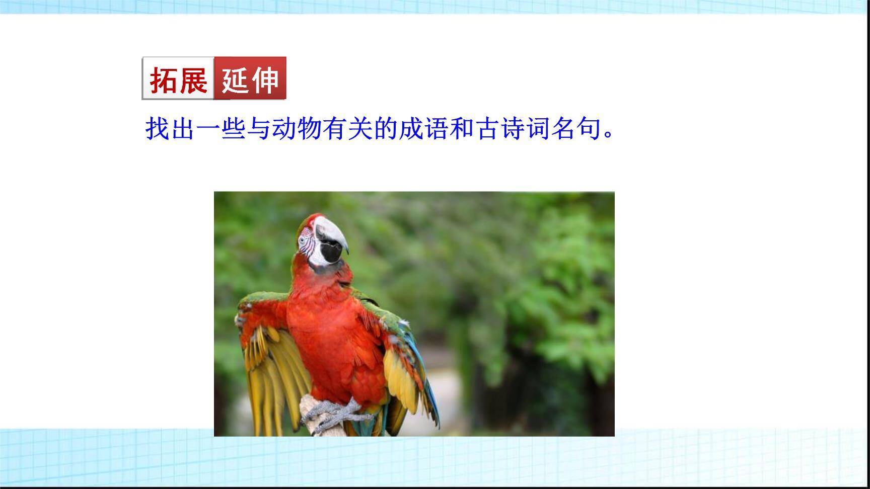 动物笑谈PPT课件66