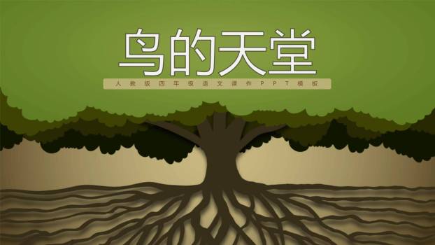 鸟的天堂PPT课件30