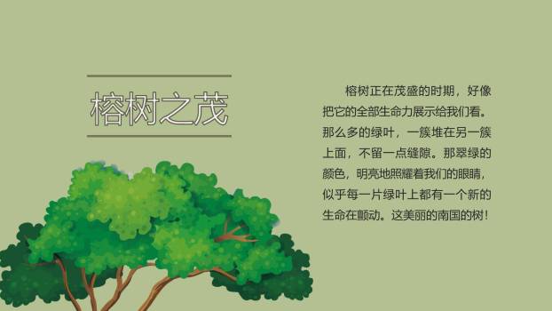 鸟的天堂PPT课件34