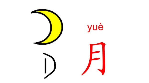 耳口目PPT课件12