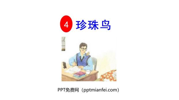 珍珠鸟PPT课件70