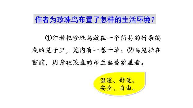 珍珠鸟PPT课件77