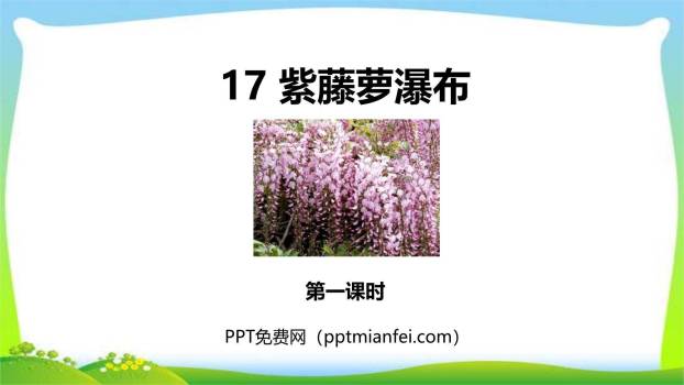 紫藤萝瀑布PPT课件30