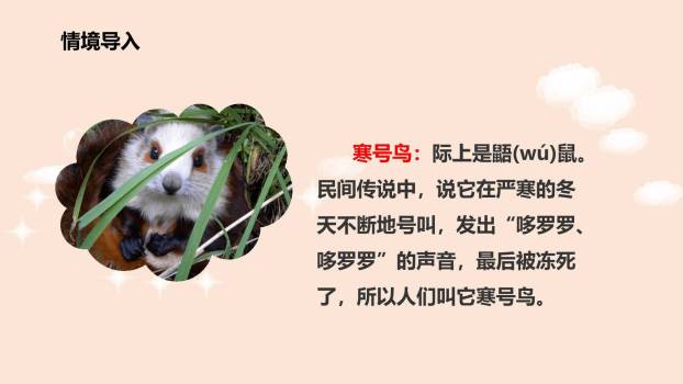 寒号鸟PPT课件18