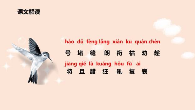 寒号鸟PPT课件19