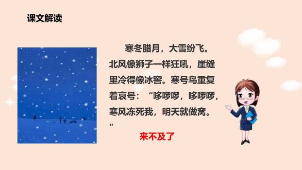 寒号鸟PPT课件12