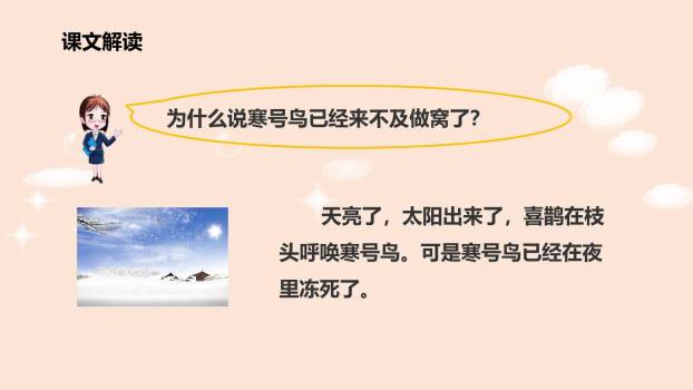 寒号鸟PPT课件13