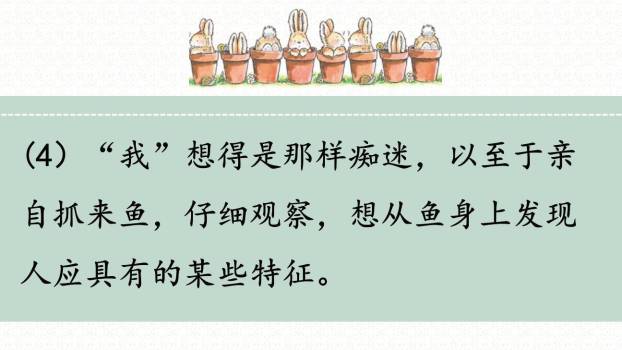 童年的发现PPT课件44