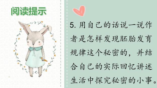 童年的发现PPT课件47