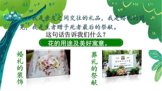 花之歌PPT课件53