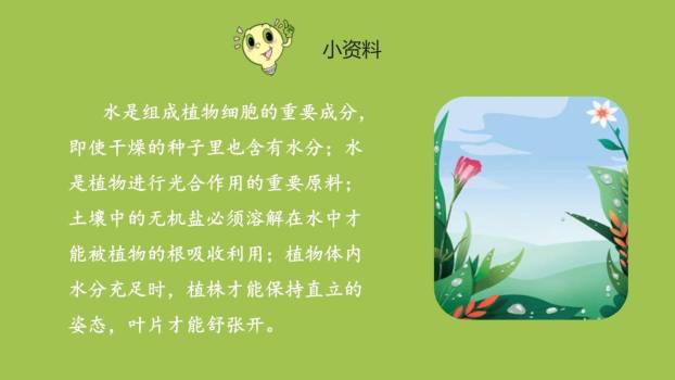 雨点儿PPT课件36