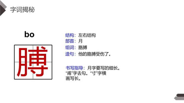 小英雄雨来PPT课件15