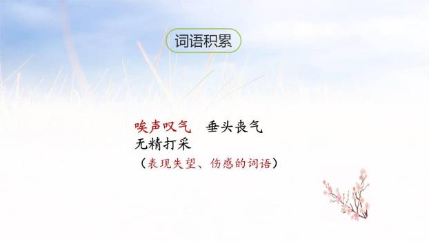 一只窝囊的大老虎PPT课件11