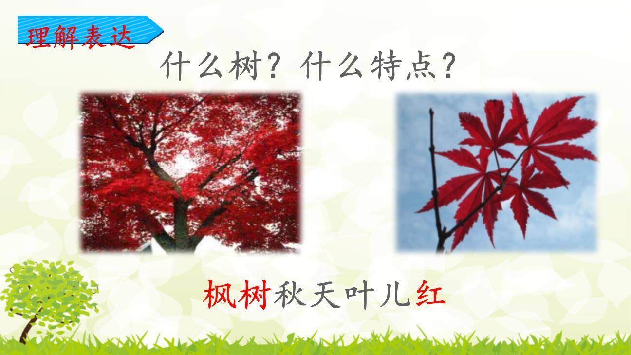 树之歌PPT课件43