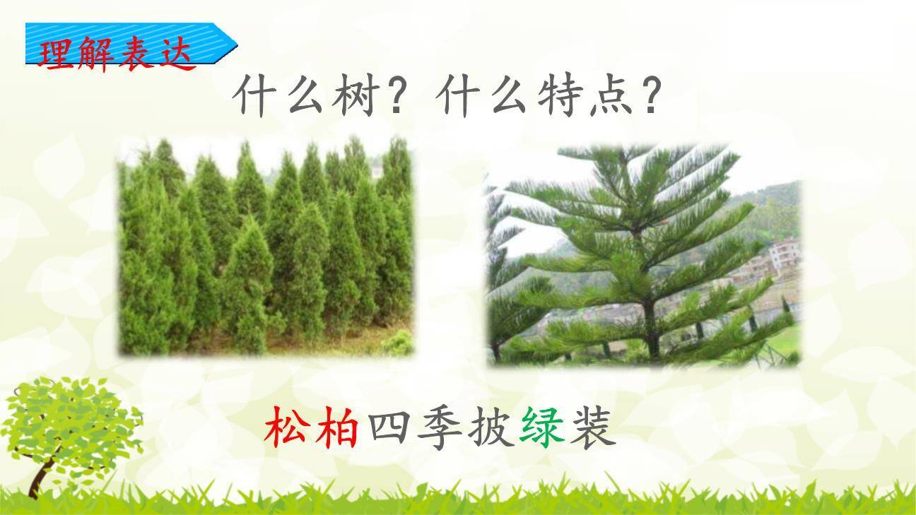 树之歌PPT课件44