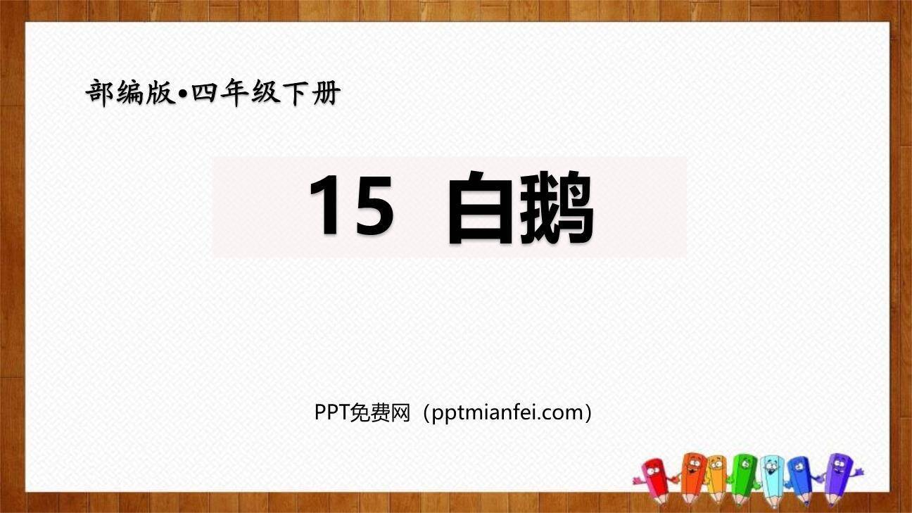 白鹅PPT课件50