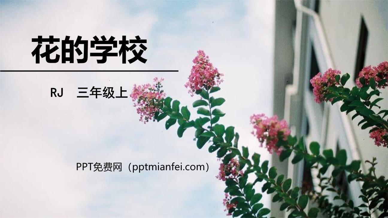 花的学校PPT课件70