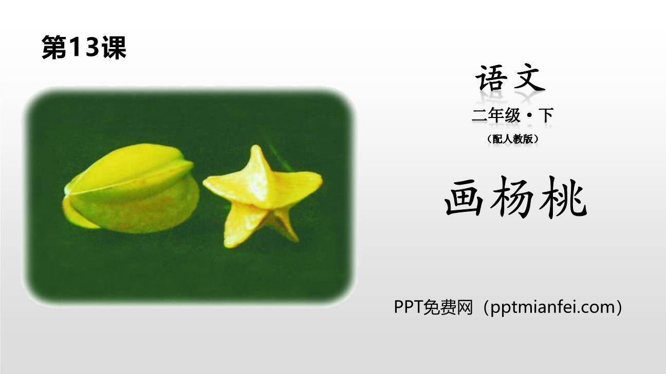 画杨桃PPT课件10