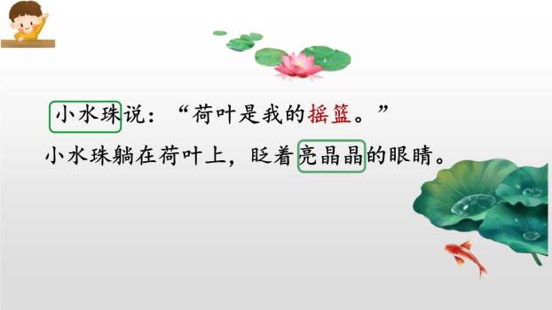 荷叶圆圆PPT课件59