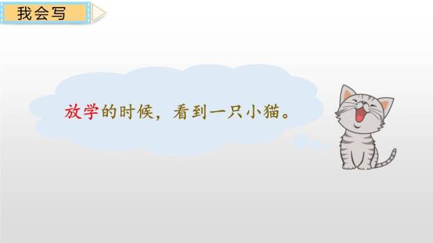 荷叶圆圆PPT课件51