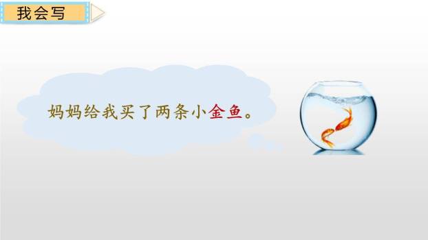 荷叶圆圆PPT课件53