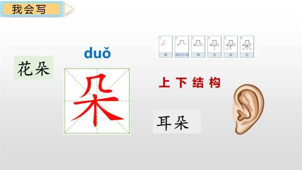 荷叶圆圆PPT课件54