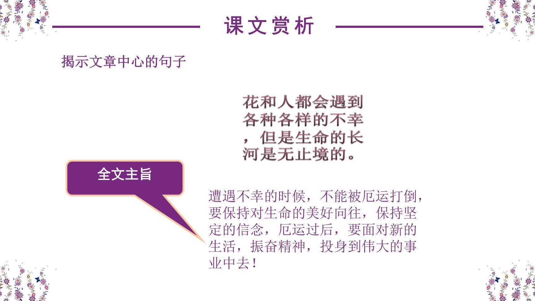 紫藤萝瀑布PPT课件28