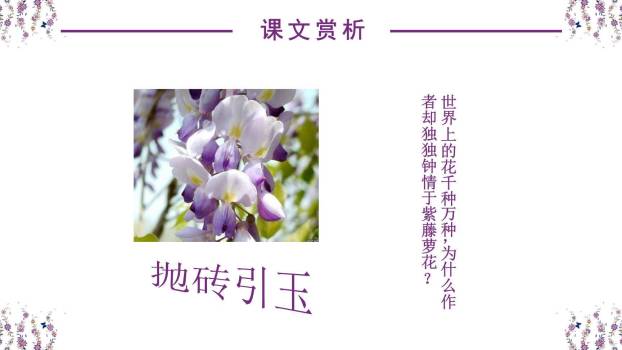 紫藤萝瀑布PPT课件21