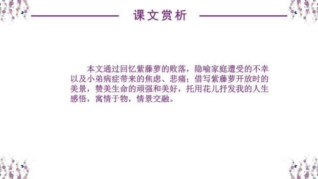 紫藤萝瀑布PPT课件27