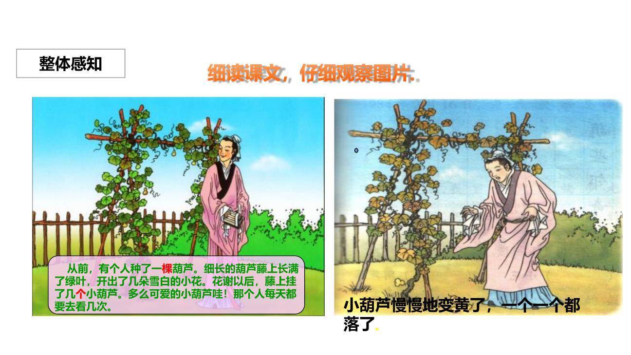 我要的是葫芦PPT课件51