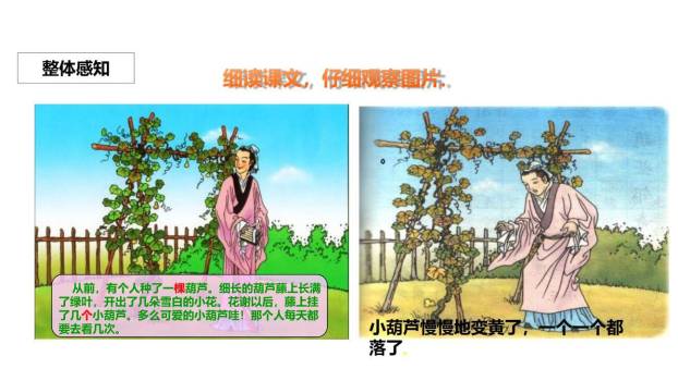 我要的是葫芦PPT课件51