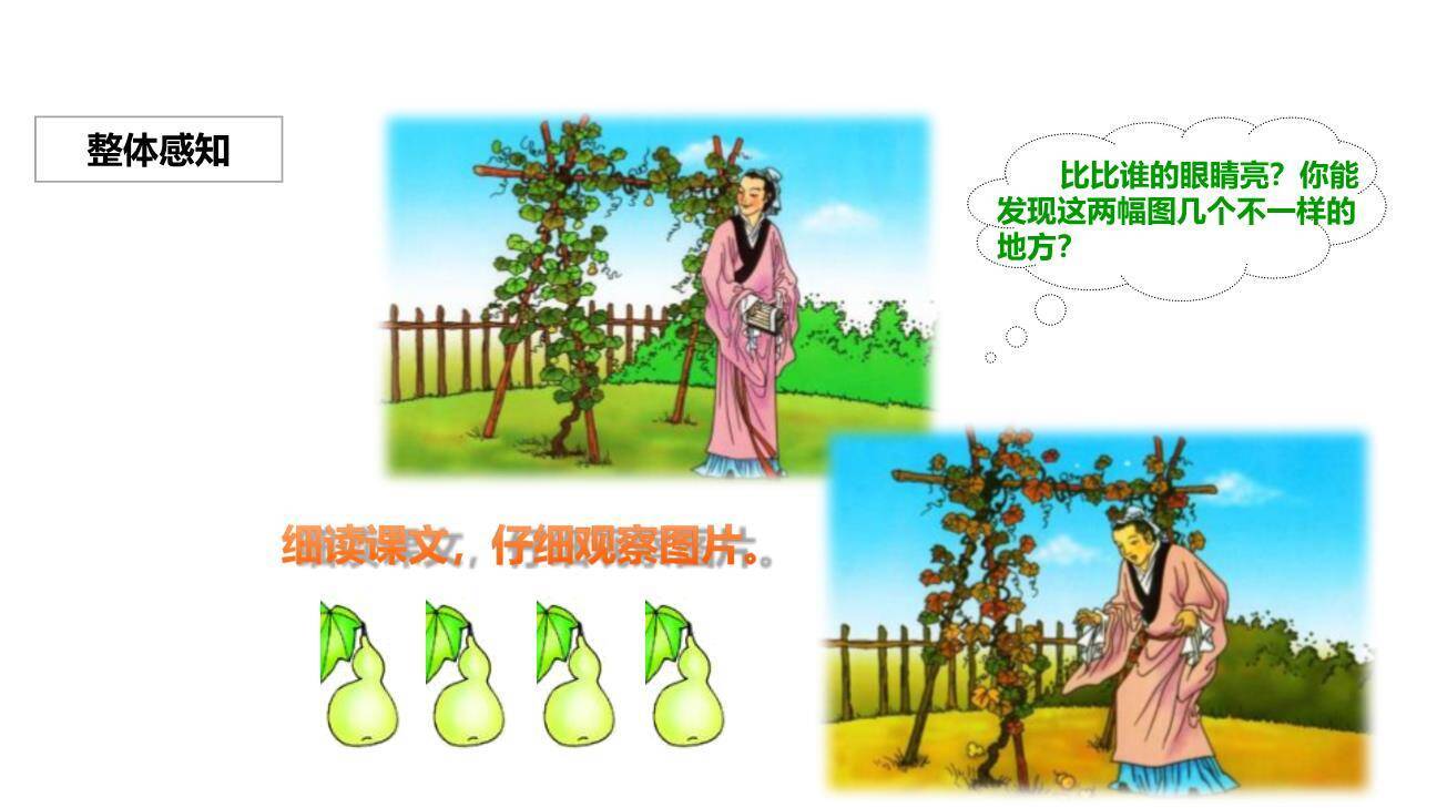 我要的是葫芦PPT课件52