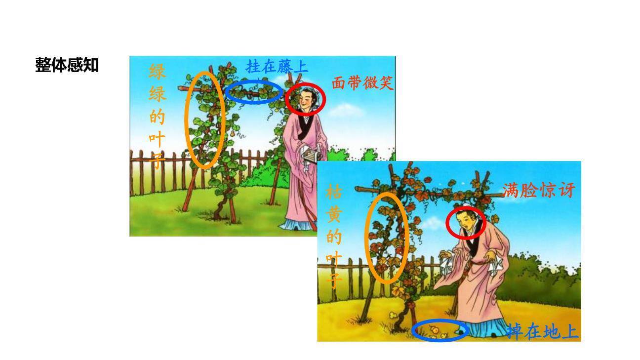 我要的是葫芦PPT课件53