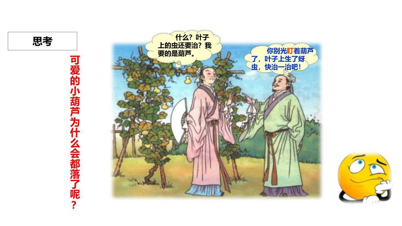 我要的是葫芦PPT课件55