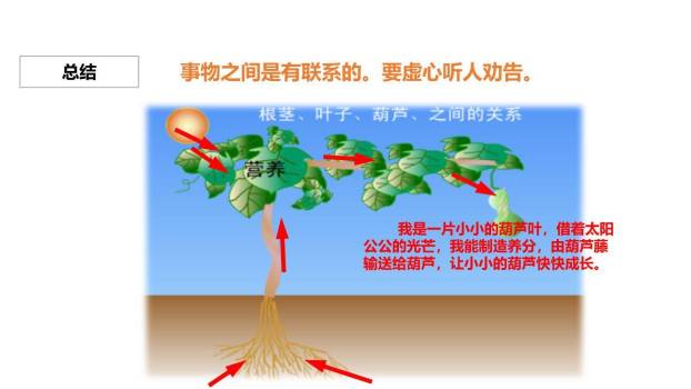我要的是葫芦PPT课件56