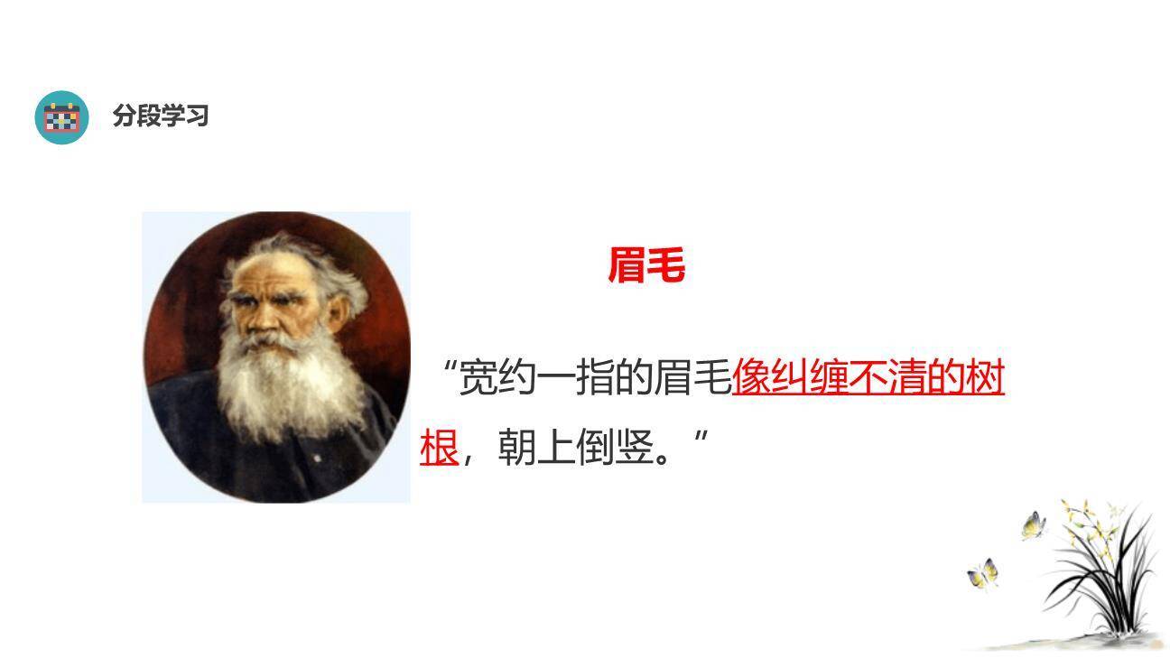 列夫托尔斯泰PPT课件81