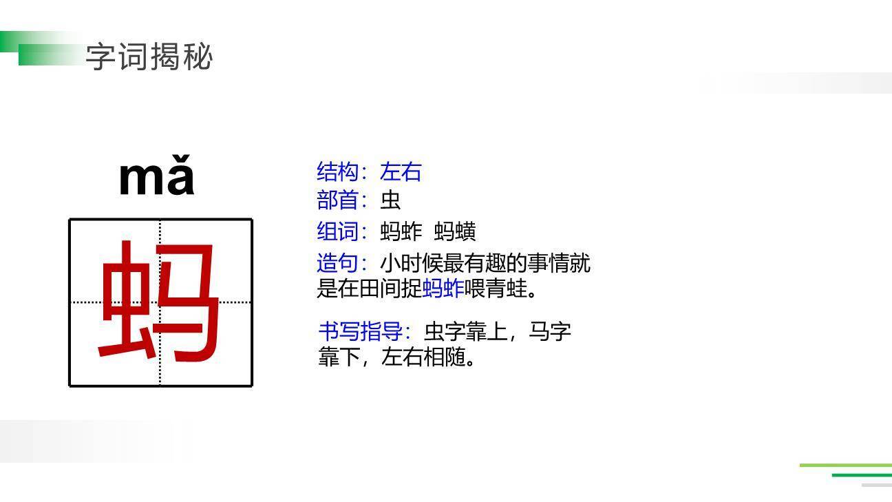 祖父的园子PPT课件11