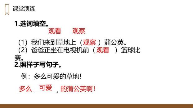 金色的草地PPT课件69