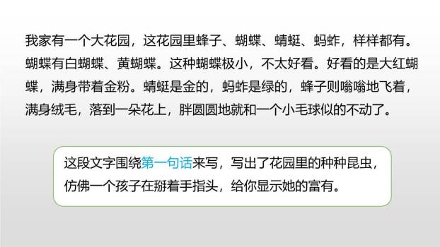 我的乐园PPT课件45